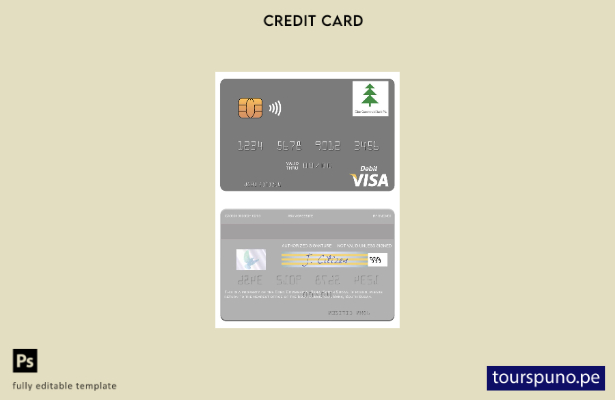lista para imprimir plantilla de tarjeta de débito visa Eden Commercial Bank de 
